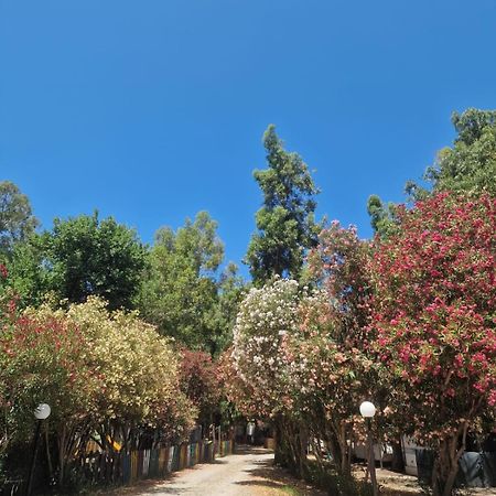 מלון רוסאנו Camping Pitagora מראה חיצוני תמונה