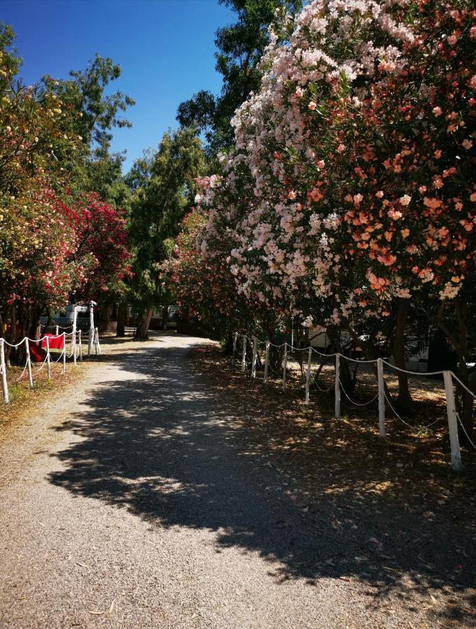 מלון רוסאנו Camping Pitagora מראה חיצוני תמונה