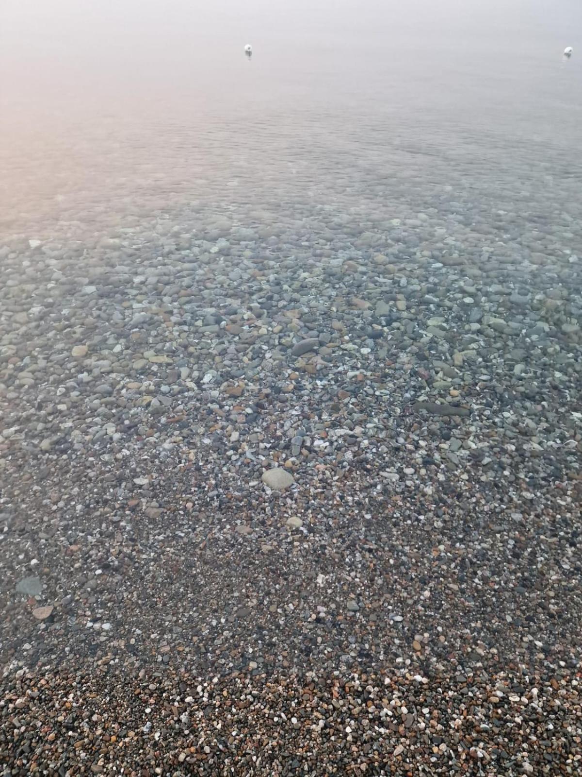 מלון רוסאנו Camping Pitagora מראה חיצוני תמונה