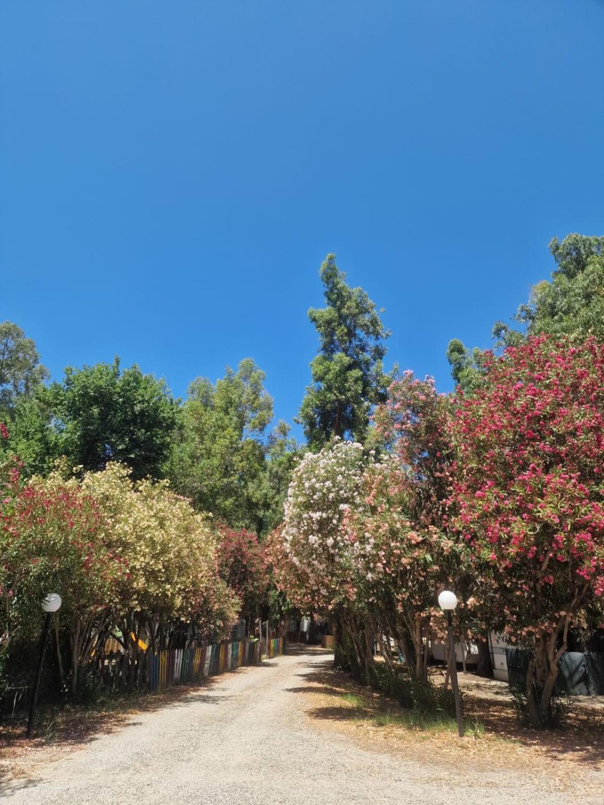 מלון רוסאנו Camping Pitagora מראה חיצוני תמונה